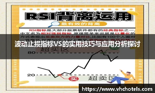 波动止损指标VS的实用技巧与应用分析探讨